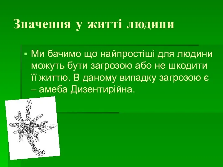 Значення у житті людини Ми бачимо що найпростіші для людини можуть