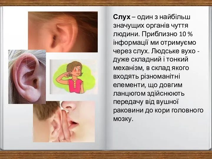 Слух – один з найбільш значущих органів чуття людини. Приблизно 10