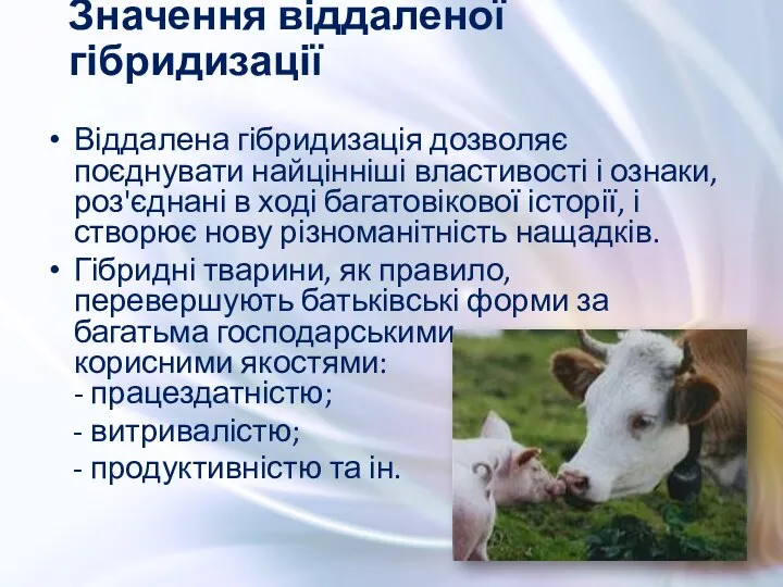 Віддалена гібридизація дозволяє поєднувати найцінніші властивості і ознаки, роз'єднані в ході