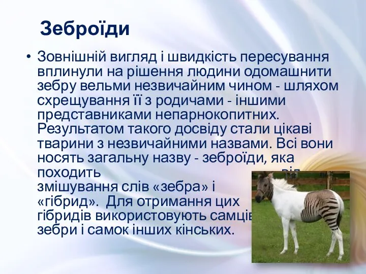 Зовнішній вигляд і швидкість пересування вплинули на рішення людини одомашнити зебру