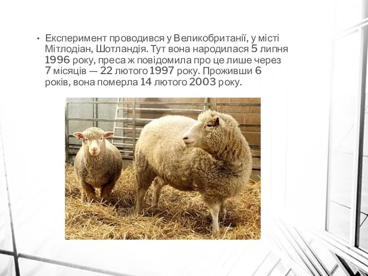 Експеримент проводився у Великобританії, у місті Мітлодіан, Шотландія. Тут вона народилася