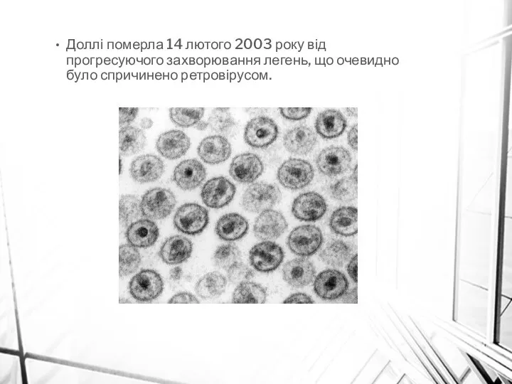 Доллі померла 14 лютого 2003 року від прогресуючого захворювання легень, що очевидно було спричинено ретровірусом.