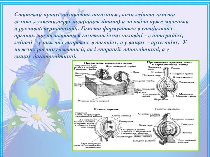 Статевий процес називають оогамним , коли жіноча гамета велика ,куляста,нерухлива(яйцеклітина),а чоловіча