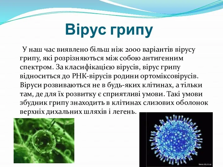 Вірус грипу У наш час виявлено більш ніж 2000 варіантів вірусу