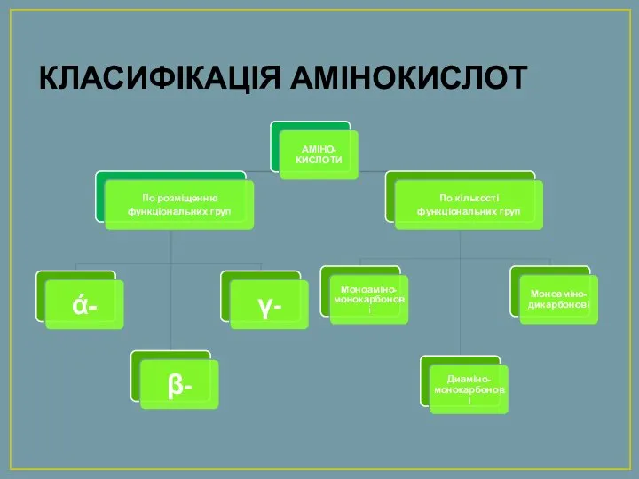 КЛАСИФІКАЦІЯ АМІНОКИСЛОТ