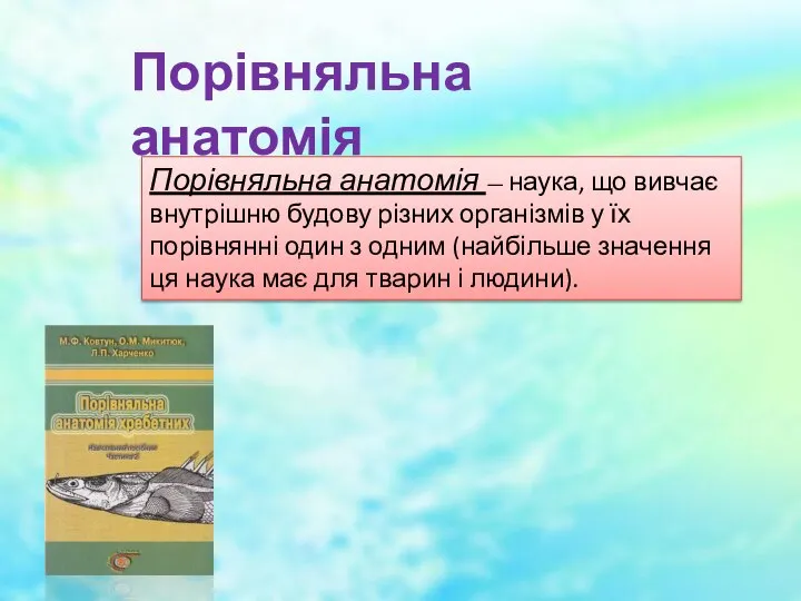 Порівняльна анатомія Порівняльна анатомія — наука, що вивчає внутрішню будову різних