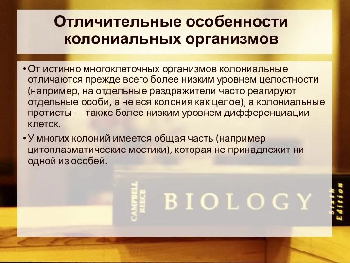 Отличительные особенности колониальных организмов От истинно многоклеточных организмов колониальные отличаются прежде