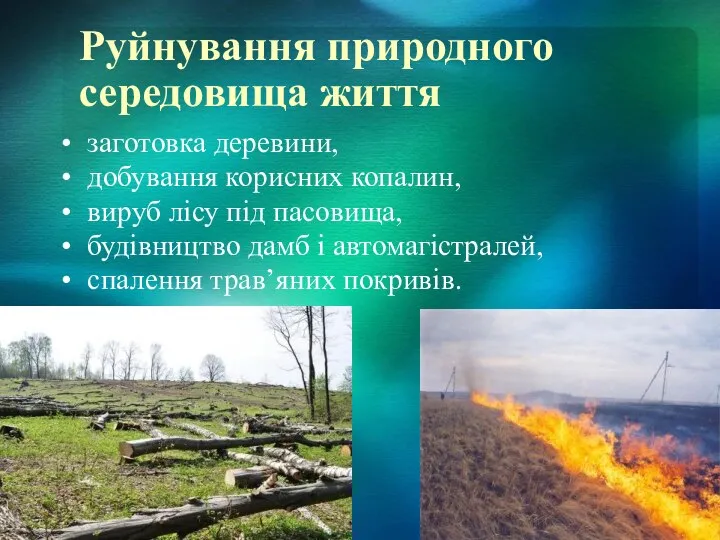 Руйнування природного середовища життя заготовка деревини, добування корисних копалин, вируб лісу