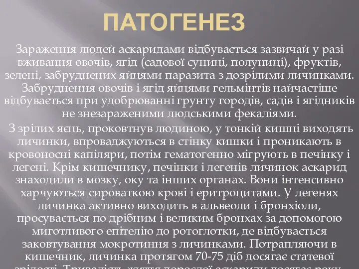 Патогенез Зараження людей аскаридами відбувається зазвичай у разі вживання овочів, ягід