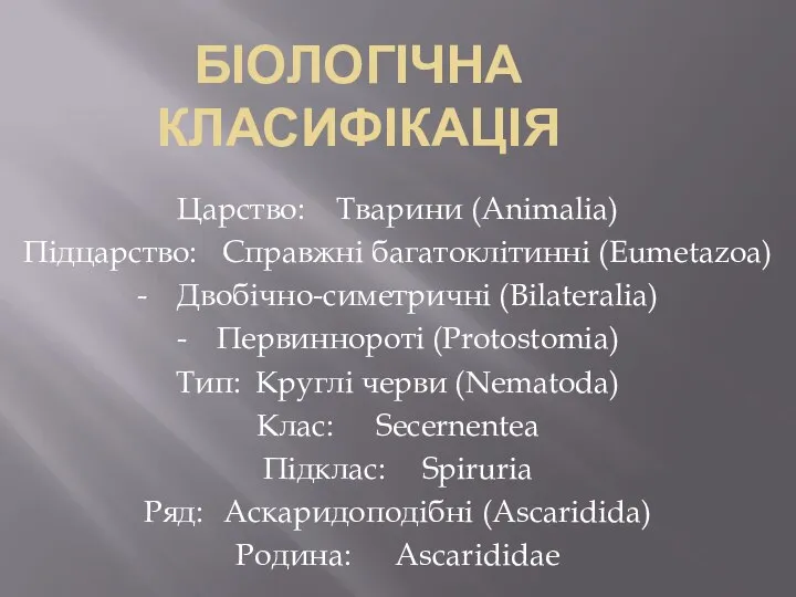 Біологічна класифікація Царство: Тварини (Animalia) Підцарство: Справжні багатоклітинні (Eumetazoa) - Двобічно-симетричні