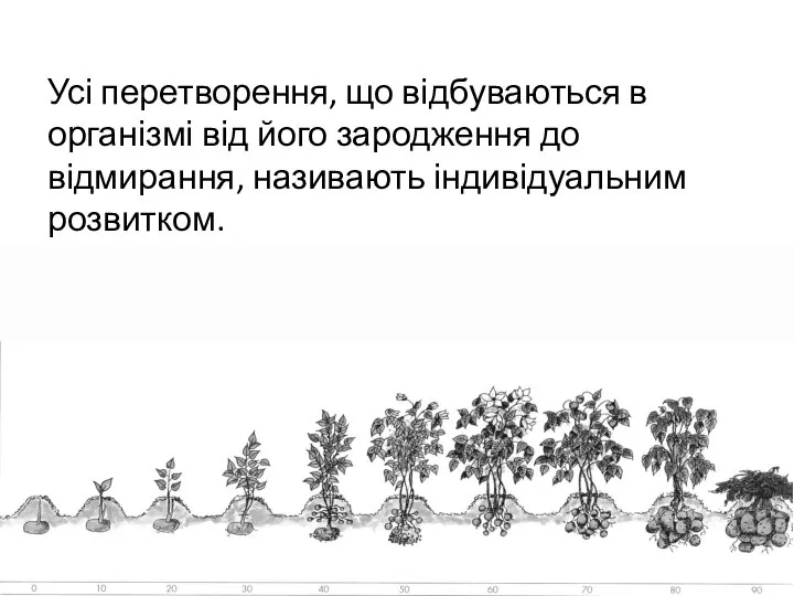 Усі перетворення, що відбуваються в організмі від його зародження до відмирання, називають індивідуальним розвитком.