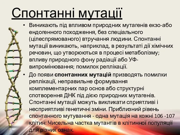 Спонтанні мутації Виникають під впливом природних мутагенів екзо-або ендогенного походження, без