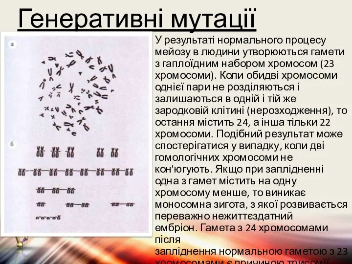 Генеративні мутації У результаті нормального процесу мейозу в людини утворюються гамети