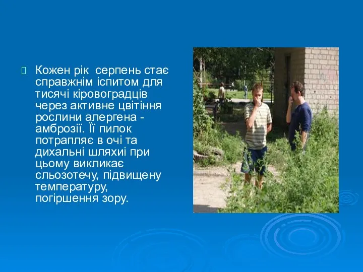 Кожен рік серпень стає справжнім іспитом для тисячі кіровоградців через активне