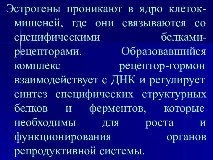 Эстрогены проникают в ядро клеток-мишеней, где они связываются со специфическими белками-рецепторами.