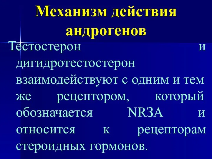 Механизм действия андрогенов Тестостерон и дигидротестостерон взаимодействуют с одним и тем