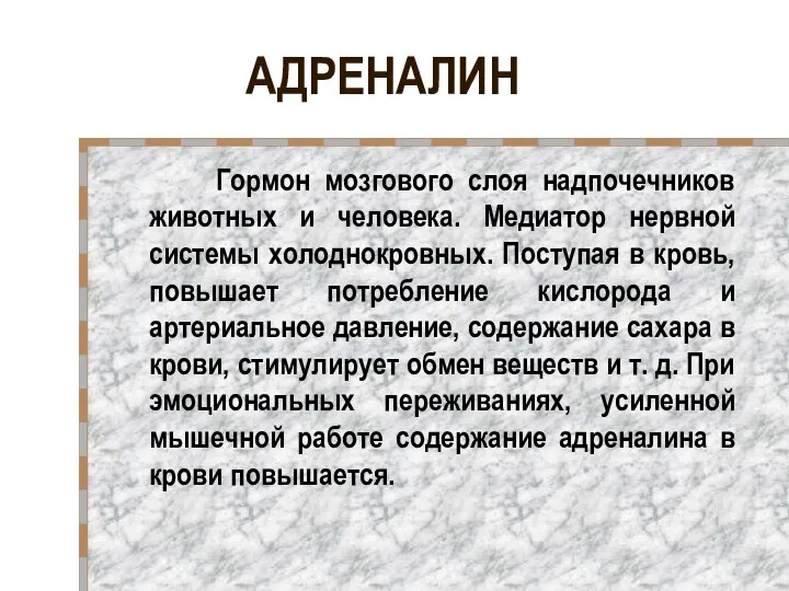 АДРЕНАЛИН Гормон мозгового слоя надпочечников животных и человека. Медиатор нервной системы