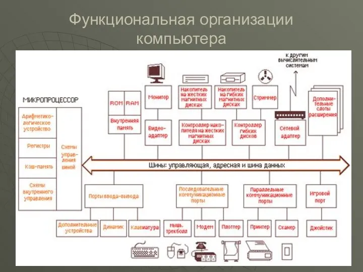 Функциональная организации компьютера