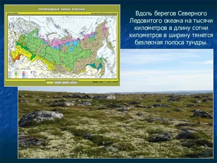 Вдоль берегов Северного Ледовитого океана на тысячи километров в длину сотни