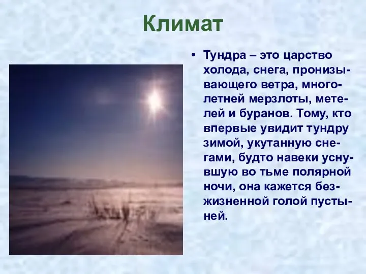 Климат Тундра – это царство холода, снега, пронизы-вающего ветра, много-летней мерзлоты,