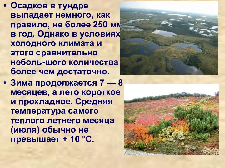 Осадков в тундре выпадает немного, как правило, не более 250 мм