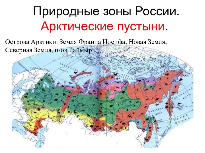 Природные зоны России. Арктические пустыни. Острова Арктики: Земля Франца Иосифа, Новая Земля, Северная Земля, п-ов Таймыр