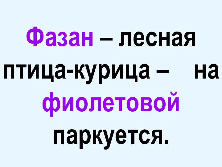 Фазан – лесная птица-курица – на фиолетовой паркуется.