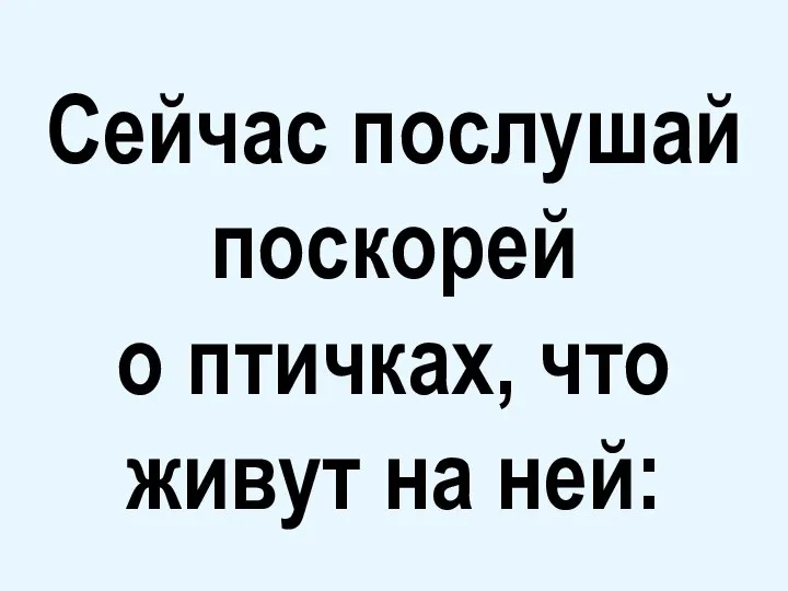 Сейчас послушай поскорей о птичках, что живут на ней: