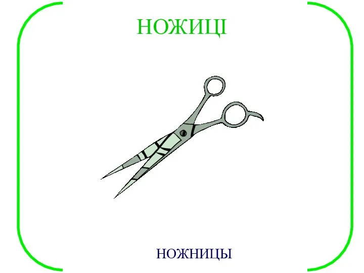 НОЖИЦІ НОЖНИЦЫ