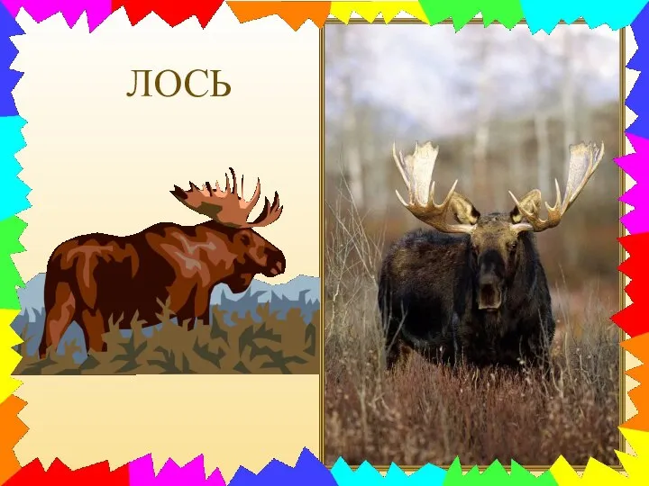 ЛОСЬ