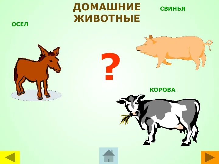 ОСЕЛ СВИНЬЯ КОРОВА ? ДОМАШНИЕ ЖИВОТНЫЕ