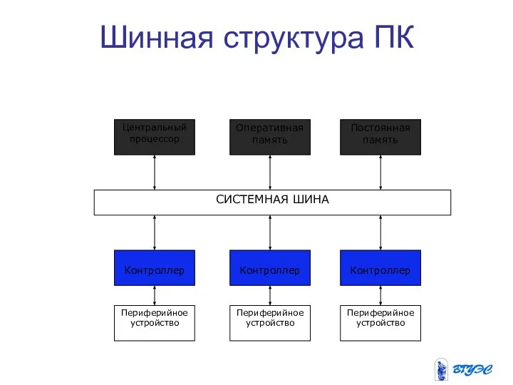 Шинная структура ПК