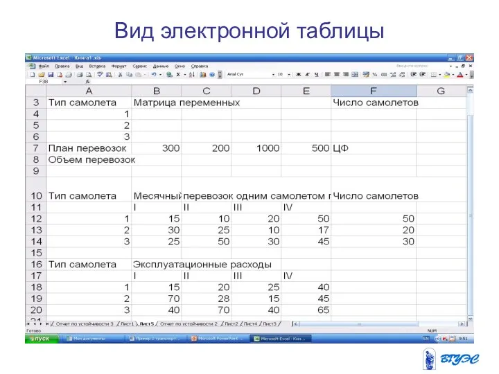 Вид электронной таблицы