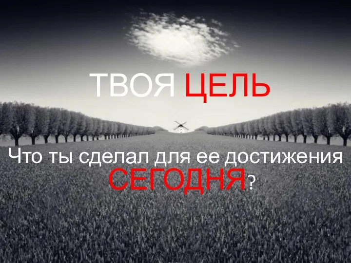 ТВОЯ ЦЕЛЬ Что ты сделал для ее достижения СЕГОДНЯ?