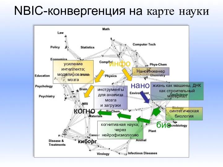 NBIC-конвергенция на карте науки инфо когно био нано киборг жизнь как