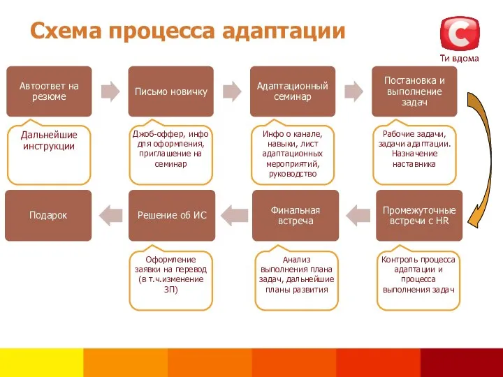 Схема процесса адаптации Дальнейшие инструкции Джоб-оффер, инфо для оформления, приглашение на