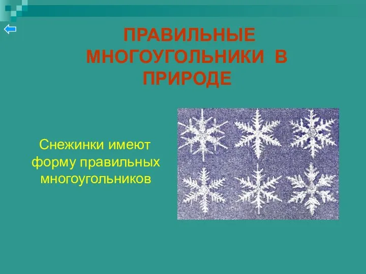 ПРАВИЛЬНЫЕ МНОГОУГОЛЬНИКИ В ПРИРОДЕ Снежинки имеют форму правильных многоугольников