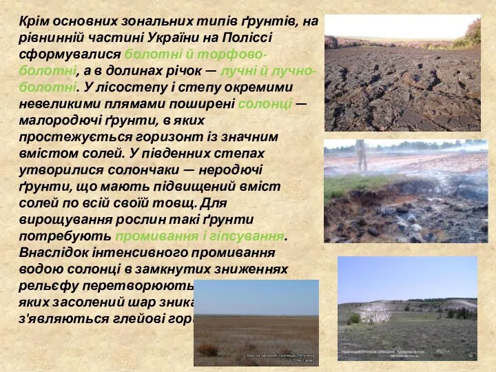 Крім основних зональних типів ґрунтів, на рівнинній частині України на Поліссі
