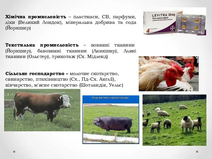 Хімічна промисловість – пластмаси, СВ, парфуми, ліки (Великий Лондон), мінеральна добрива