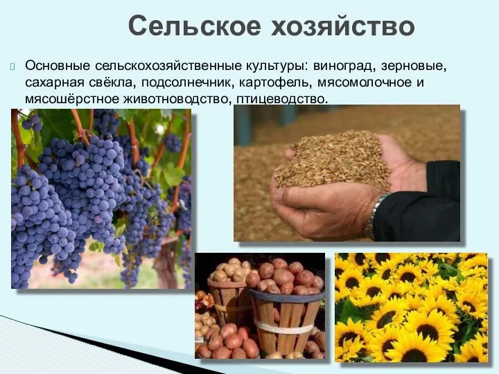 Основные сельскохозяйственные культуры: виноград, зерновые, сахарная свёкла, подсолнечник, картофель, мясомолочное и мясошёрстное животноводство, птицеводство. Сельское хозяйство