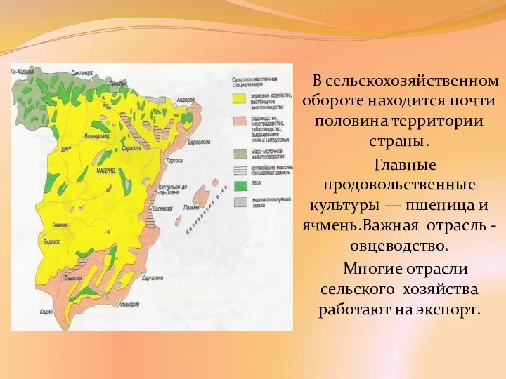 В сельскохозяйственном обороте находится почти половина территории страны. Главные продовольственные культуры