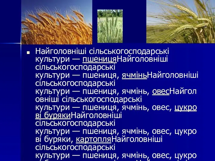 Найголовніші сільськогосподарські культури — пшеницяНайголовніші сільськогосподарські культури — пшениця, ячміньНайголовніші сільськогосподарські