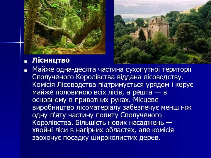 Лісництво Майже одна-десята частина сухопутної території Сполученого Королівства віддана лісоводству. Комісія