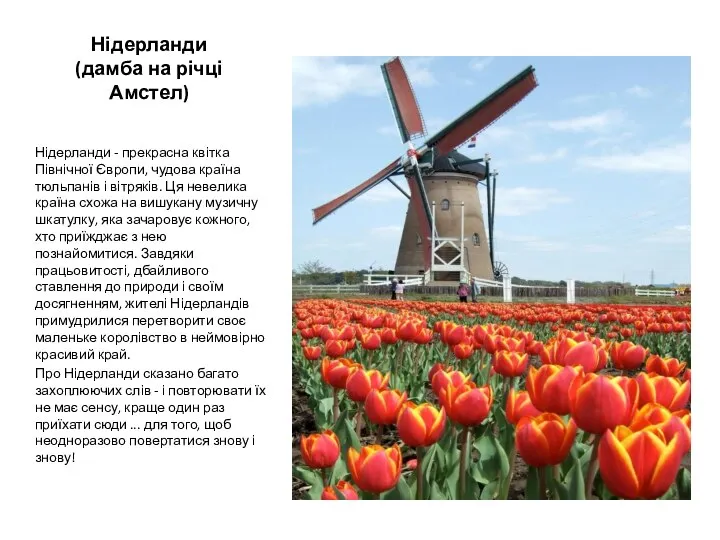 Нідерланди (дамба на річці Амстел) Нідерланди - прекрасна квітка Північної Європи,