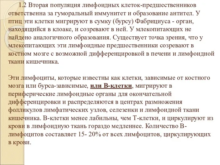 1.2 Вторая популяция лимфоидных клеток-предшественников ответственна за гуморальный иммунитет и образование