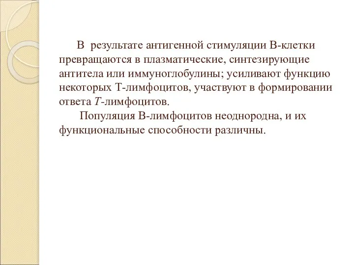 В результате антигенной стимуляции В-клетки превращаются в плазматические, синтезирующие антитела или