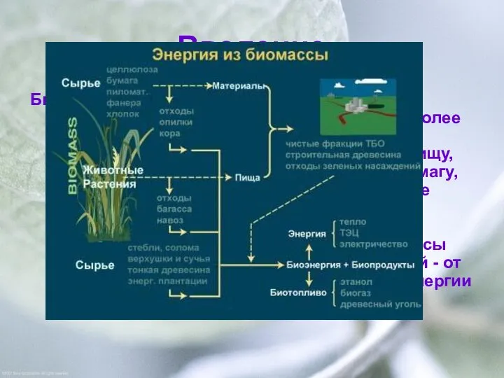 Введение Биомасса, как производная энергии Солнца в химической форме, является одним