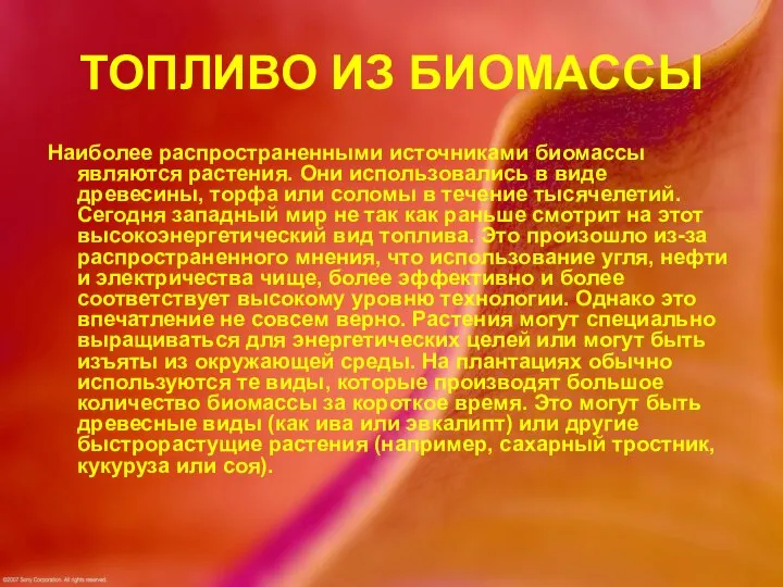 ТОПЛИВО ИЗ БИОМАССЫ Наиболее распространенными источниками биомассы являются растения. Они использовались