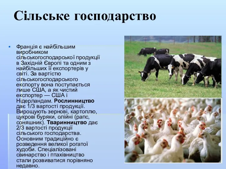 Сільське господарство Франція є найбільшим виробником сільськогосподарської продукції в Західній Європі