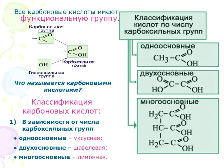 Все карбоновые кислоты имеют функциональную группу. Что называется карбоновыми кислотами? Классификация